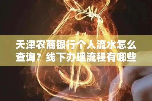 天津农商银行个人流水怎么查询?线下办理流程有哪些?高效省时技巧