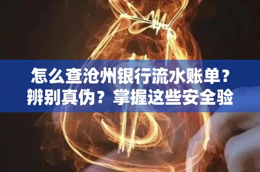 怎么查沧州银行流水账单?辨别真伪?掌握这些安全验证方法