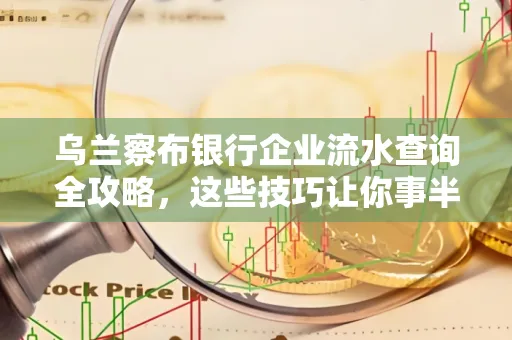乌兰察布银行企业流水查询全攻略,这些技巧让你事半功倍