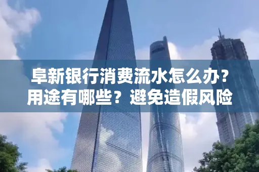 阜新银行消费流水怎么办?用途有哪些?避免造假风险方法