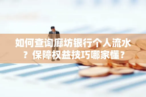 如何查询廊坊银行个人流水?保障权益技巧哪家懂?