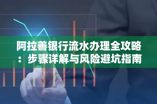 阿拉善银行流水办理全攻略:步骤详解与风险避坑指南