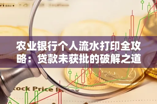 农业银行个人流水打印全攻略:贷款未获批的破解之道