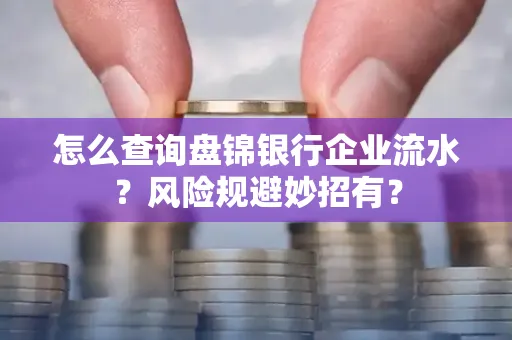 怎么查询盘锦银行企业流水?风险规避妙招有?
