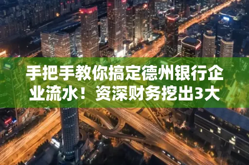 手把手教你搞定德州银行企业流水!资深财务挖出3大隐藏风险点