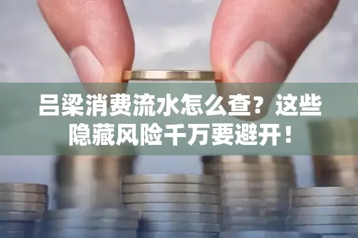 吕梁消费流水怎么查?这些隐藏风险千万要避开!