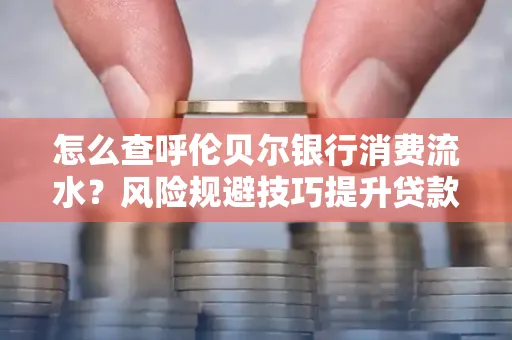 怎么查呼伦贝尔银行消费流水?风险规避技巧提升贷款率?
