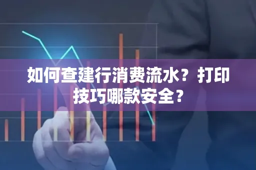 如何查建行消费流水?打印技巧哪款安全?